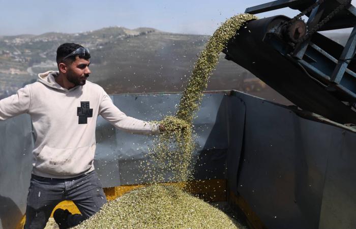 «المركزي»
      الباكستاني
      يرفع
      الفائدة
      100
      نقطة
      أساس
      إلى
      11.5
      %