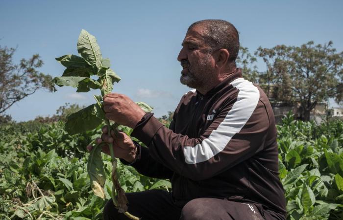 «شل»
      تستحوذ
      على
      شركة
      «ARC»
      الكندية
      بقيمة
      16.4
      مليار
      دولار
      لتعزيز
      الإنتاج