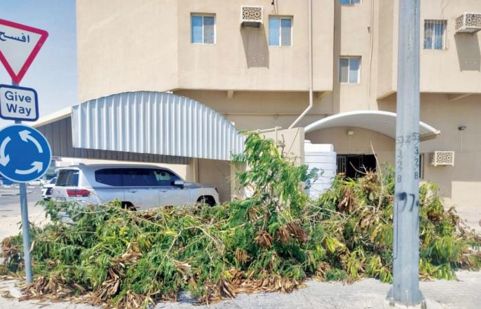 البلدية تزيل المخلفات خلف الأسواق بشارع آل شافي