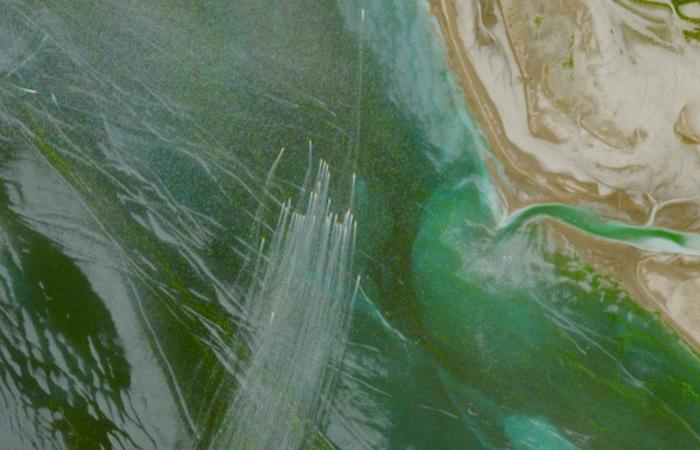 التكامل
      الخليجي
      البحري
      مطلوب
      لحماية
      مضيق
      هرمز
      ولمواجهة
      الابتزاز
      الاستراتيجي