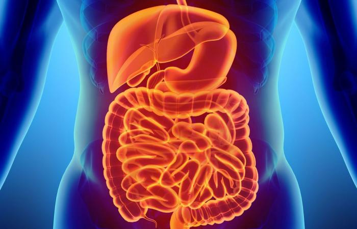 حموضة وحرقة المعدة..كيف يمكن علاج هذه الحالة في المنزل؟