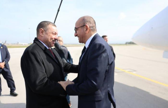 الهجرة
      ومكافحة
      الجريمة
      والإرهاب
      محور
      مباحثات
      مغربية
      -
      ألمانية