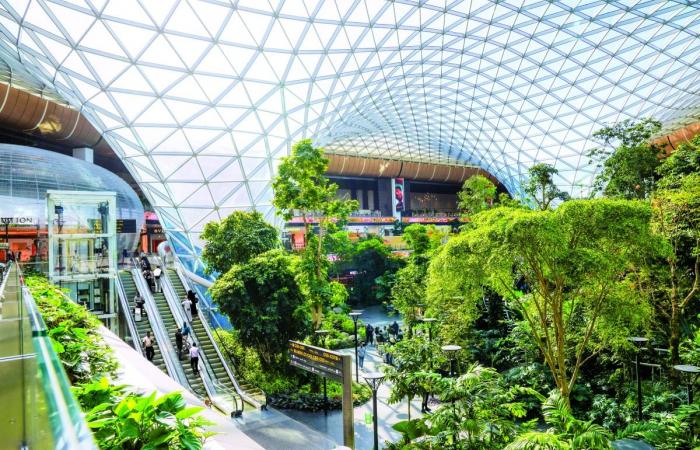 بينها الخطوط المغربية وطيران الخليج.. شركات جديدة تستأنف رحلاتها عبر مطار حمد الدولي