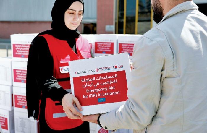 وزيرة التعاون الدولي: قطر تواصل جهودها الإنسانية لدعم الأشقاء في لبنان