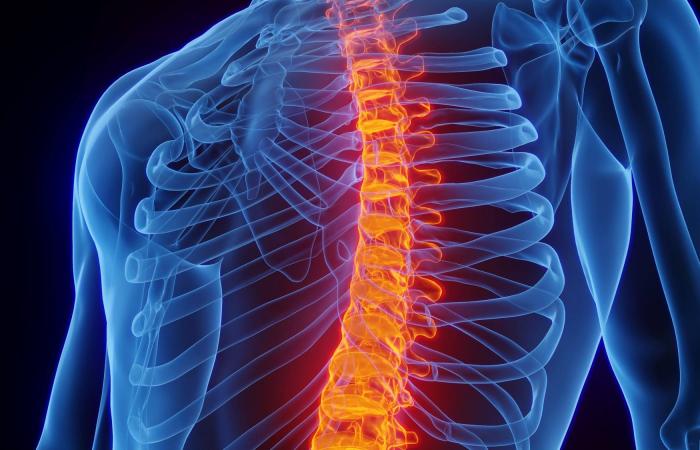 أداة
      جديدة
      لتحديد
      من
      يحتاج
      إلى
      حقن
      إنقاص
      الوزن
      حتى
      قبل
      الإصابة
      بالسمنة