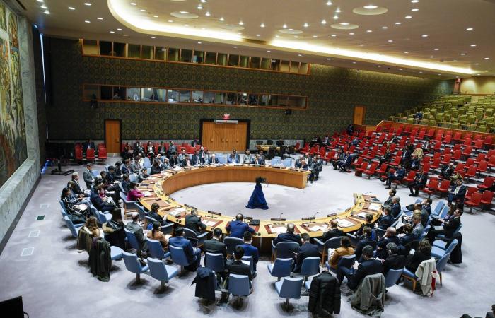 جهود
      ليبية
      لاسترداد
      100
      مليون
      دولار
      إلى
      أرصدتها
      المجمدة
      في
      بلجيكا