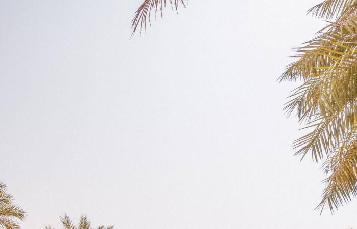 باقات
      فندقية
      استثنائية
      خلال
      عطلة
      عيد
      الأضحى
      في
      أبوظبي