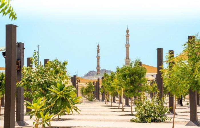 ولي
      العهد
      السعودي
      يتلقَّى
      رسالة
      من
      الرئيس
      الأوزبكي
      تتصل
      بعلاقات
      البلدين