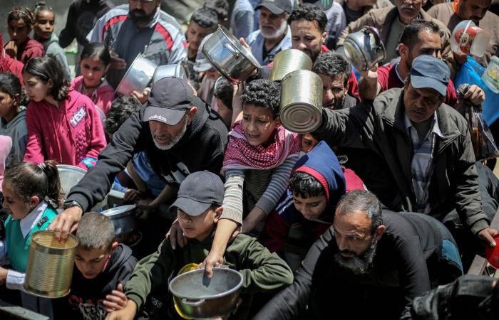 «اتفاق
      غزة»:
      مفاوضات
      القاهرة
      تنتظر
      نتائج
      تحركات
      ملادينوف
      والوسطاء