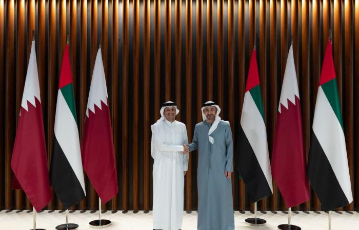رئيس مجلس الوزراء ونائب رئيس مجلس الوزراء الإماراتي يترأسان اجتماعات اللجنة العليا المشتركة بين البلدين