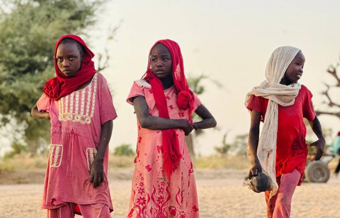 الحرب
      تفرِّق
      آلاف
      الأسر
      السودانية...
      والأمم
      المتحدة
      تبحث
      عن
      ذوي
      58
      ألف
      طفل