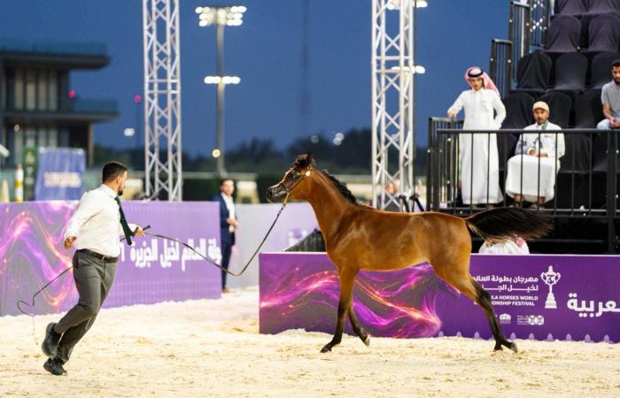 «مروى
      العون»
      و«ملهمة
      النو»
      تتصدران
      افتتاح
      بطولة
      العالم
      لخيل
      الجزيرة