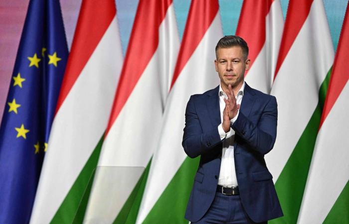 ميرتس:
      أوروبا
      تريد
      بقاء
      «الناتو»
      ووقف
      حرب
      إيران