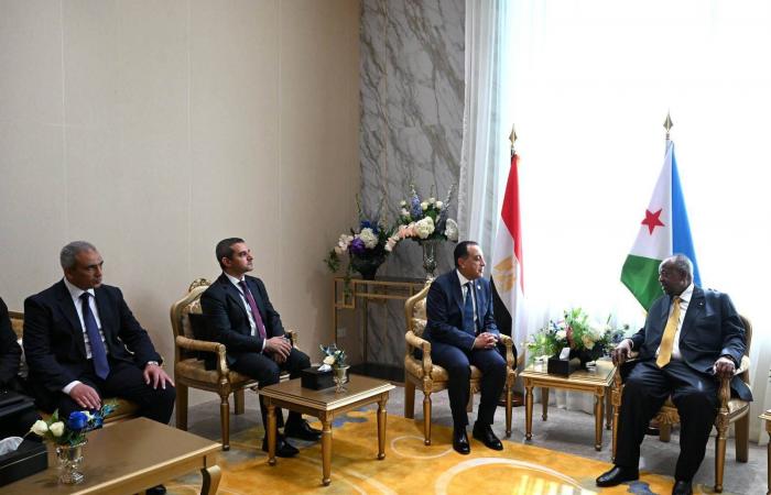 رئيس
      الوزراء
      المصري
      في
      جيبوتي
      لتعزيز
      علاقات
      «الشراكة»