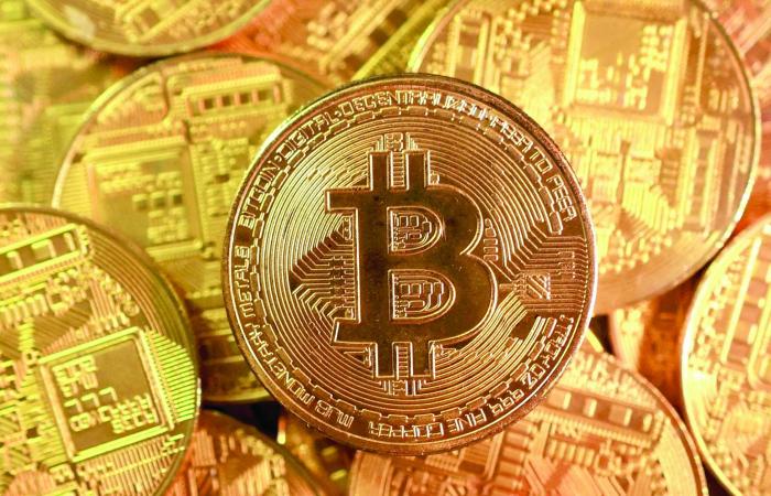 شغفه
      بالطيور
      كلفه
      حياته...
      من
      هو
      «المريض
      صفر»
      في
      تفشي
      «هانتا»
      على
      متن
      السفينة
      السياحية؟
