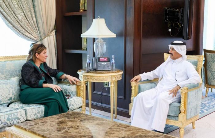الأمين العام لوزارة الخارجية يجتمع مع سفيرة إيرلندا