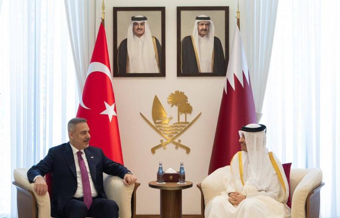 قطر
      وتركيا
      تدعمان
      جهود
      باكستان
      لإنهاء
      الحرب