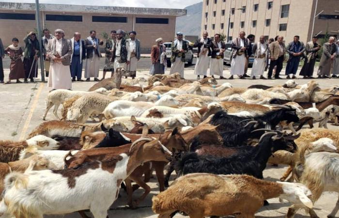 جبايات
      الحوثيين
      العيدية
      تُرهق
      سكان
      صنعاء
      وريفها