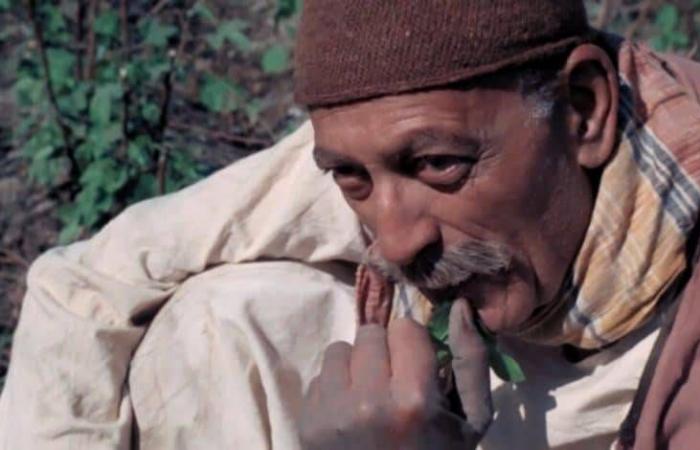 الوسط
      الفني
      المصري
      يُجدد
      المطالبة
      بحق
      «الأداء
      العلني»
