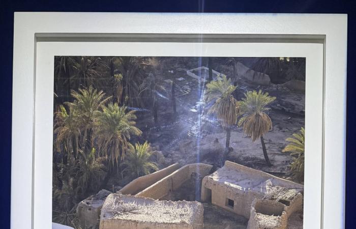 بين
      الضوء
      والترحال...
      الأميرة
      ريم
      الفيصل
      تقرأ
      السعودية
      بعدسة
      «أرض
      الحجيج
      والشعراء»