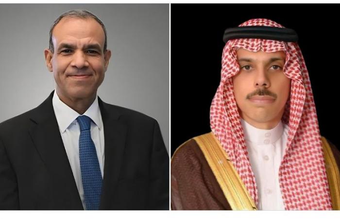 وزيرا خارجية السعودية ومصر يبحثان مجريات الأوضاع الإقليمية