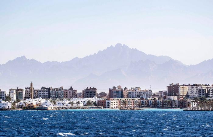 مصر.. اصطياد قرش "ماكو" المهدد بالانقراض في البحر الأحمر يثير جدلا بيئيًا