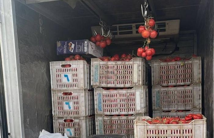 برنت
      يقفز
      فوق
      111
      دولاراً
      عقب
      هجوم
      مسيّر
      على
      محطة
      نووية
      بالإمارات