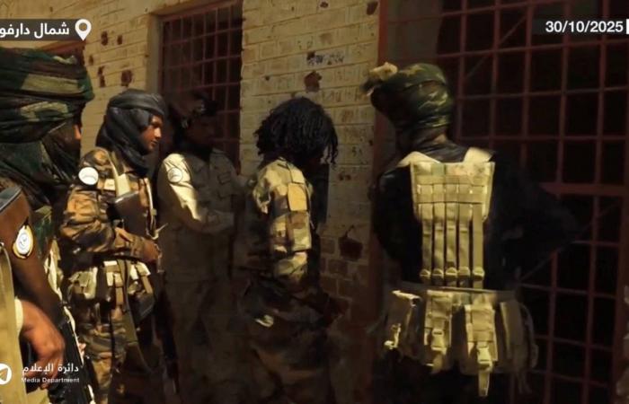 «قوات
      الدعم
      السريع»
      تنفي
      إطلاق
      سراح
      «أبو
      لولو»