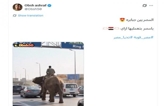 زحام مروري بسبب "فيل صلاح سالم" في مصر.. ما حقيقة فيديو الرائج؟