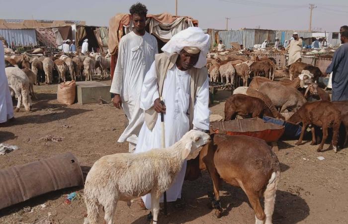 الجيش
      الجزائري
      ينفّذ
      تمريناً
      بالذخيرة
      الحية
      يحاكي
      الواقع