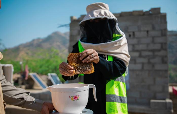 العسل
      اليمني
      يقاوم
      الحرب
      وتقلُّبات
      المناخ