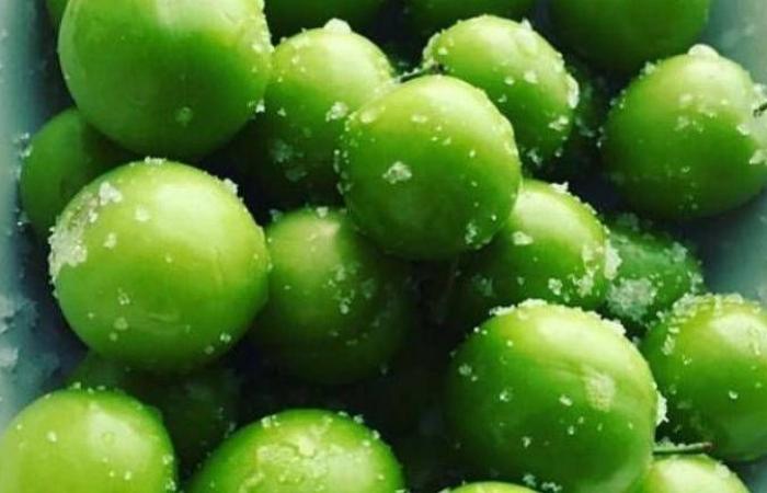 أطباق
      مائدة
      الربيع
      تتلون
      بنبض
      الطبيعة