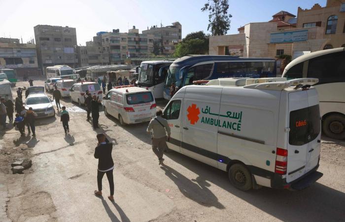 نعيم
      قاسم:
      نزع
      سلاح
      «حزب
      الله»
      إبادة
      ولا
      يمكن
      أن
      نقبل
      به