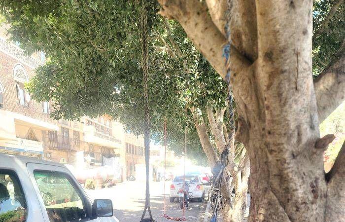 أطفال
      صنعاء
      يستقبلون
      العيد
      بأحلام
      مؤجلة
      وابتسامات
      تقاوم
      الحرب