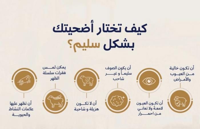 البلدية: تكثيف الفحوصات البيطرية لضمان سلامة الأضاحي