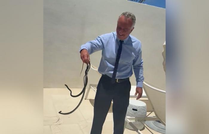 روبرت كينيدي جونيور ينشر فيديو وهو يُمسك بثعبانين