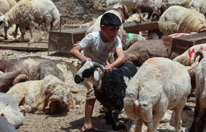 إسرائيل
      تختبر
      دفاعات
      مدينة
      النبطية
      بجنوب
      لبنان
      وتعزلها
      عن
      محيطها