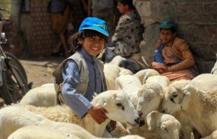 أزمات
      المعيشة
      تسلب
      القرى
      اليمنية
      فرحتها
      بالعيد