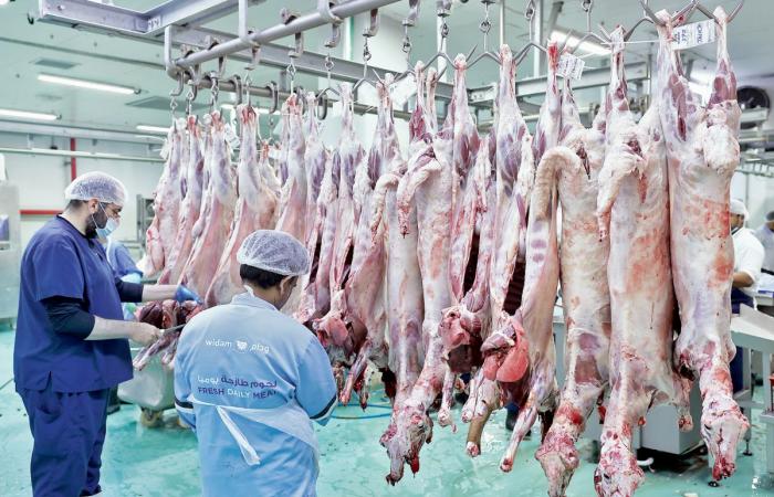 4000 ذبيحة استقبلتها المقاصب أول أيام العيد