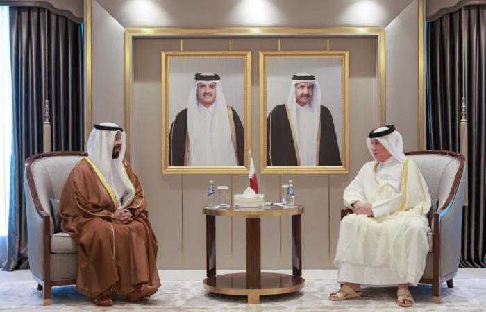 وزير الدولة للشؤون الخارجية يتسلم نسخة من أوراق اعتماد السفير الإماراتي