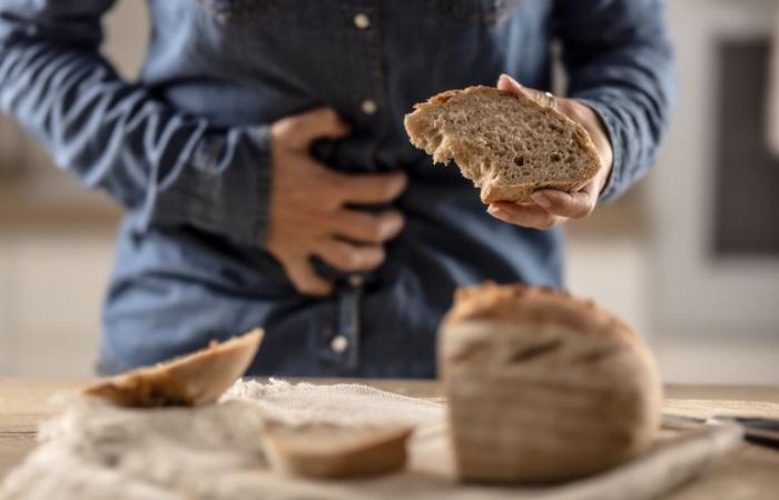 وزارة الصحة توضح الحقيقة.. هل الأدوية والأطعمة العضوية خالية من الغلوتين؟