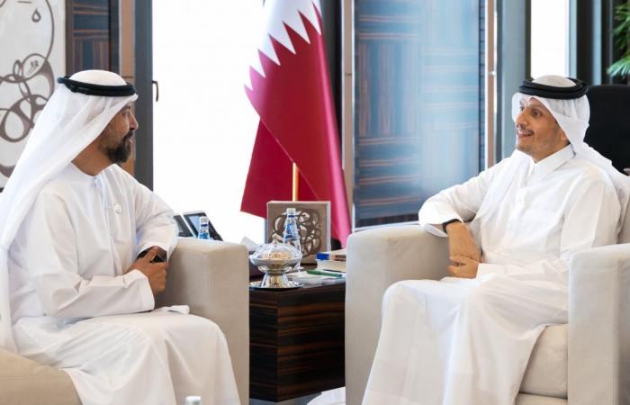 رئيس الوزراء يستقبل السفير الإماراتي