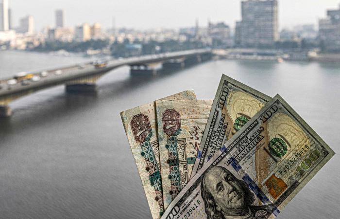 الجنيه المصري يرتفع أمام الدولار وسط تحسن تدفقات النقد الأجنبي.. ما تعليق الخبراء؟