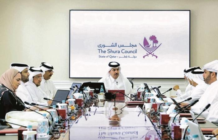 «شؤون الصحة والخدمات» تدرس قانون الحماية الرقمية للطفل