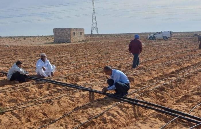 مصر
      تؤكد
      توفير
      سبل
      الرعاية
      والخدمات
      للسودانيين
      على
      أراضيها