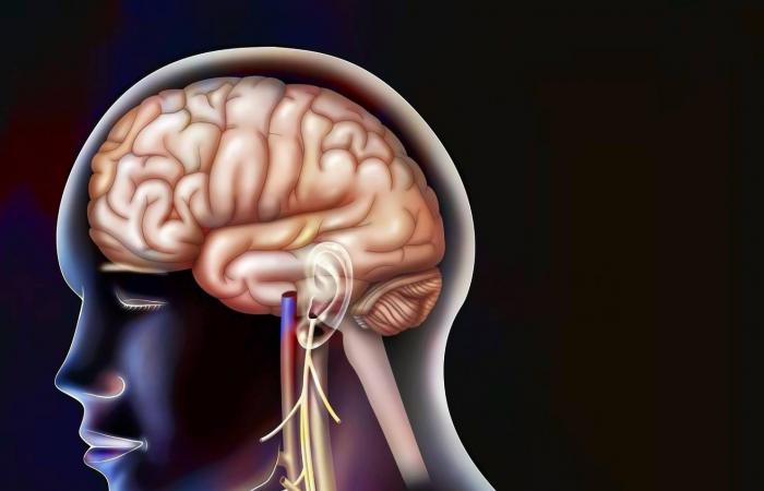 هل
      يمكن
      لـ«صدمة
      العصب
      المبهم»
      أن
      تحسّن
      الصحة؟