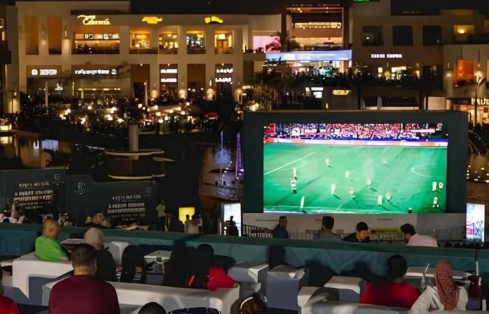 مصر.. استطلاع رسمي: 84% من المصريين مستعدون للتضحية بساعات النوم لمشاهدة المونديال