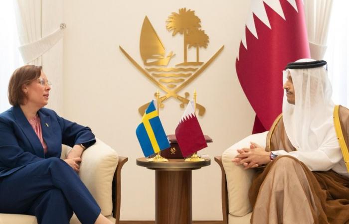 رئيس الوزراء وزير الخارجية  يستقبل وزيرة الخارجية السويدية 