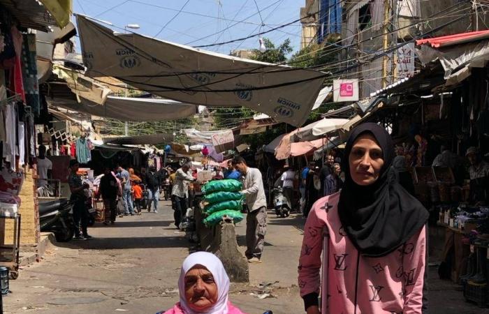 طيار
      في
      «إير
      كندا»
      قاد
      مئات
      الرحلات
      لسنوات
      برخصة
      مزورة