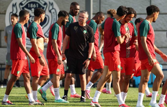وهبي
      مدرب
      المغرب:
      لا
      نخشى
      البرازيل